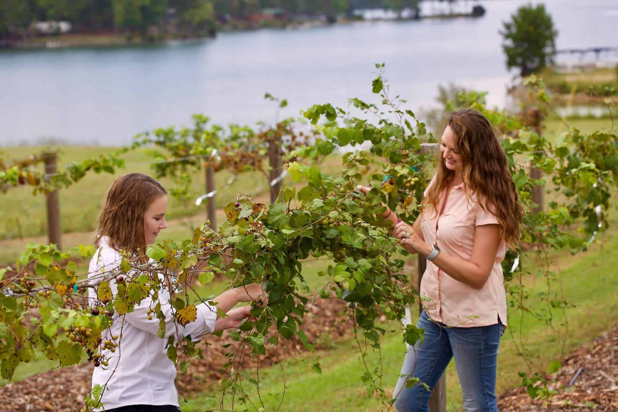 Two women work in the garden at New Water Farm on Lake Martin